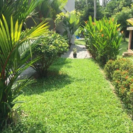 White Butterfly - A Countryside Homestay Thiruvananthapuram Exterior photo